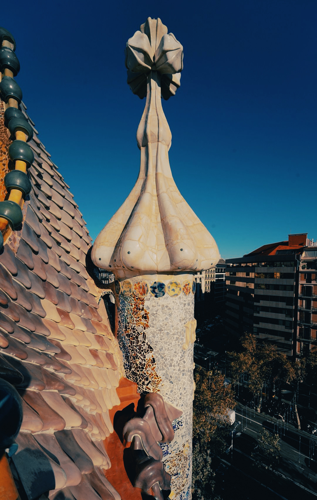 Immagine in miniatura